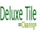 deluxetilecleaning